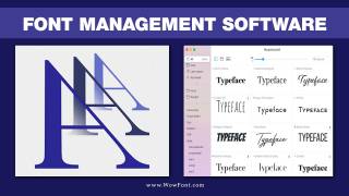 Font Management Software: Organizing Your Typeface Library