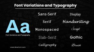 The Font Variations And Typography