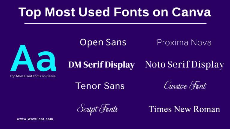 Top Most Used Fonts on Canva