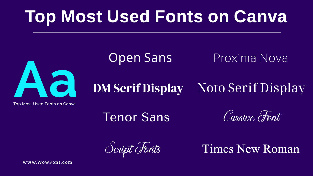 Top Most Used Fonts on Canva