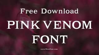 Pink Venom Font: Everything You Need To Know